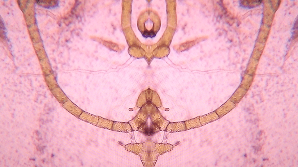 Screen Shot 2013-02-06 at 7.31.29 PM