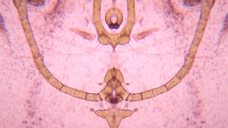 Screen Shot 2013-02-06 at 7.31.29 PM